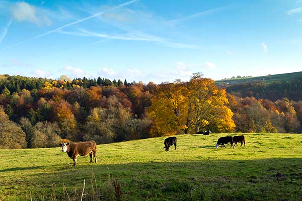 Agricultural Consultants Scotland